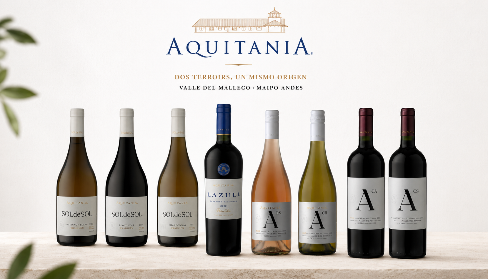 Viña Aquitania
